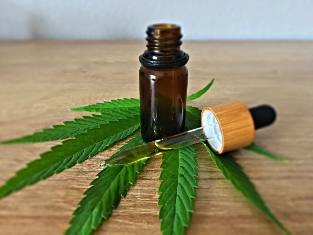 Where does CBD Oil Come From 2 scaled